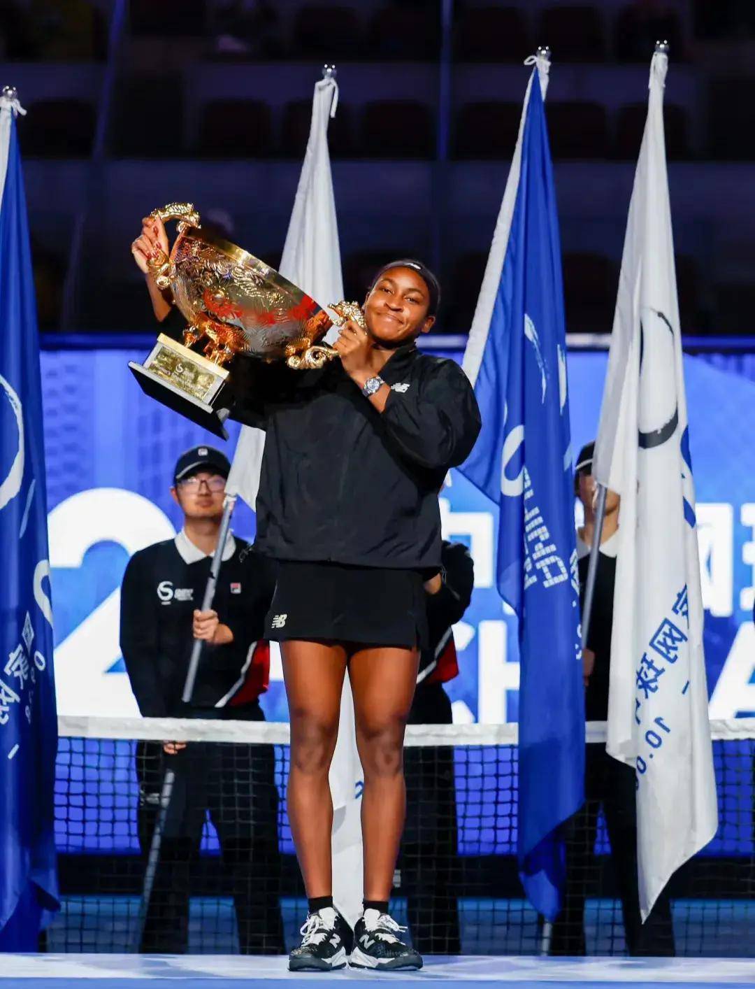 职业生涯的 职业生涯的