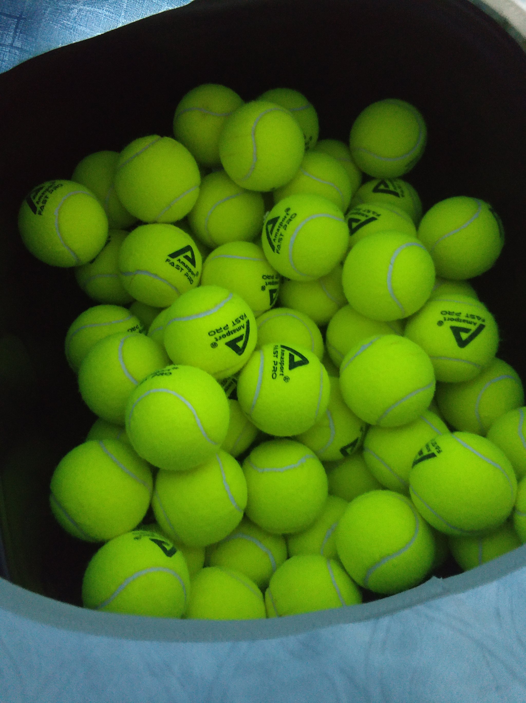 化活动的绝 化活动的绝