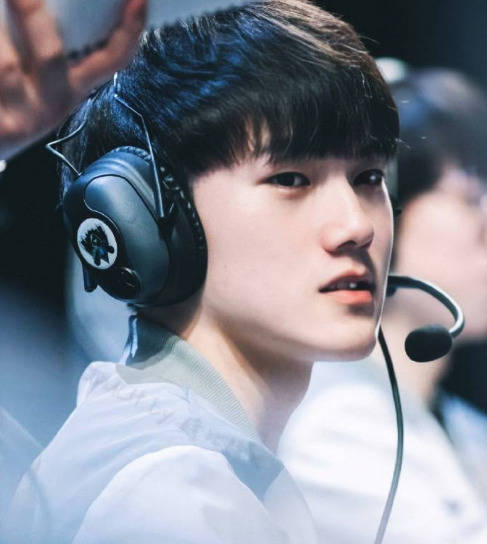 仅为中国体 仅为中国体