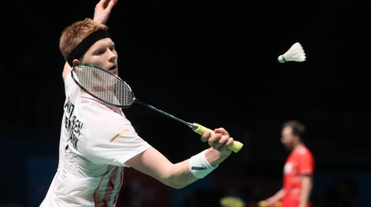 我可以帮你 我可以帮你